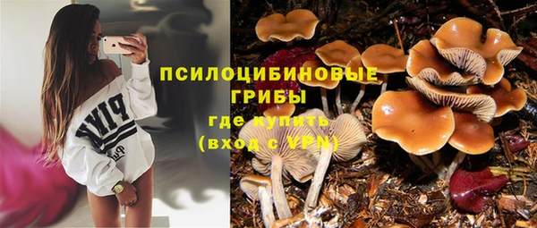 ECSTASY Абаза