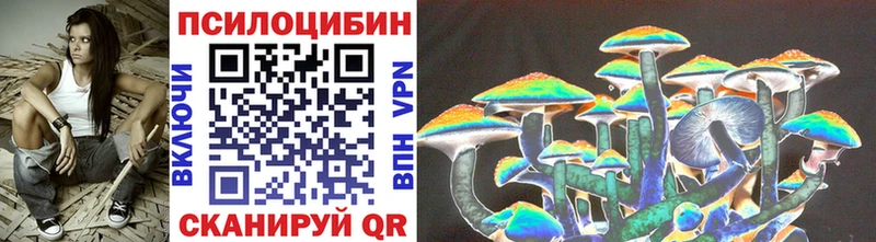 закладка  Абакан  Псилоцибиновые грибы MAGIC MUSHROOMS 