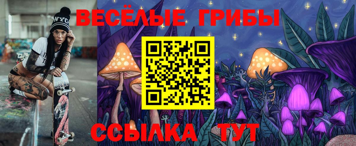 Абакан  Псилоцибиновые грибы Psilocybe  Вход с VPN 