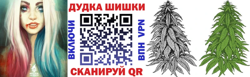 где найти   Абакан  Конопля сатива 