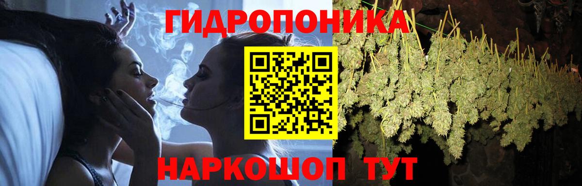 Конопля Amnesia Абакан